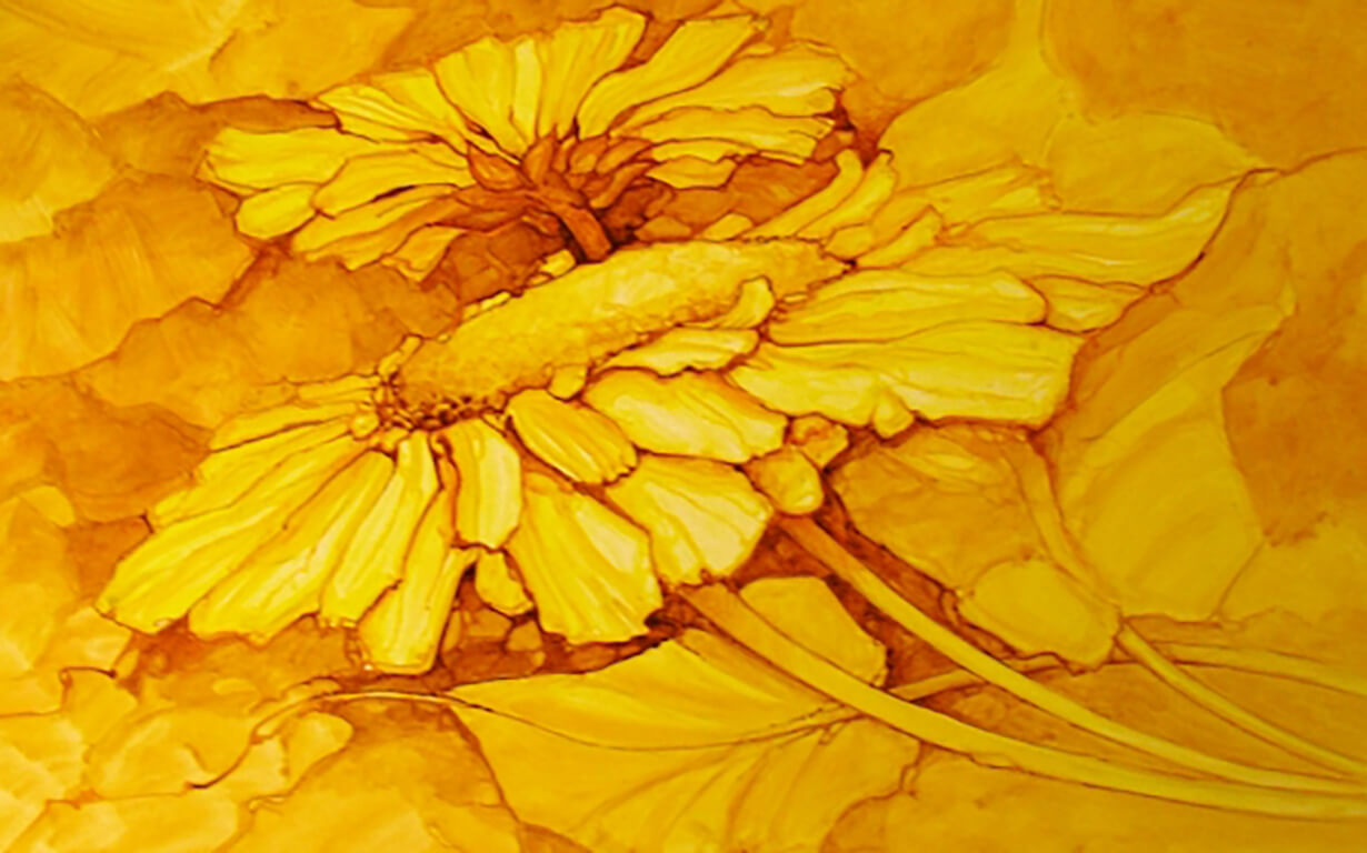  tekening - Hynsteblom 